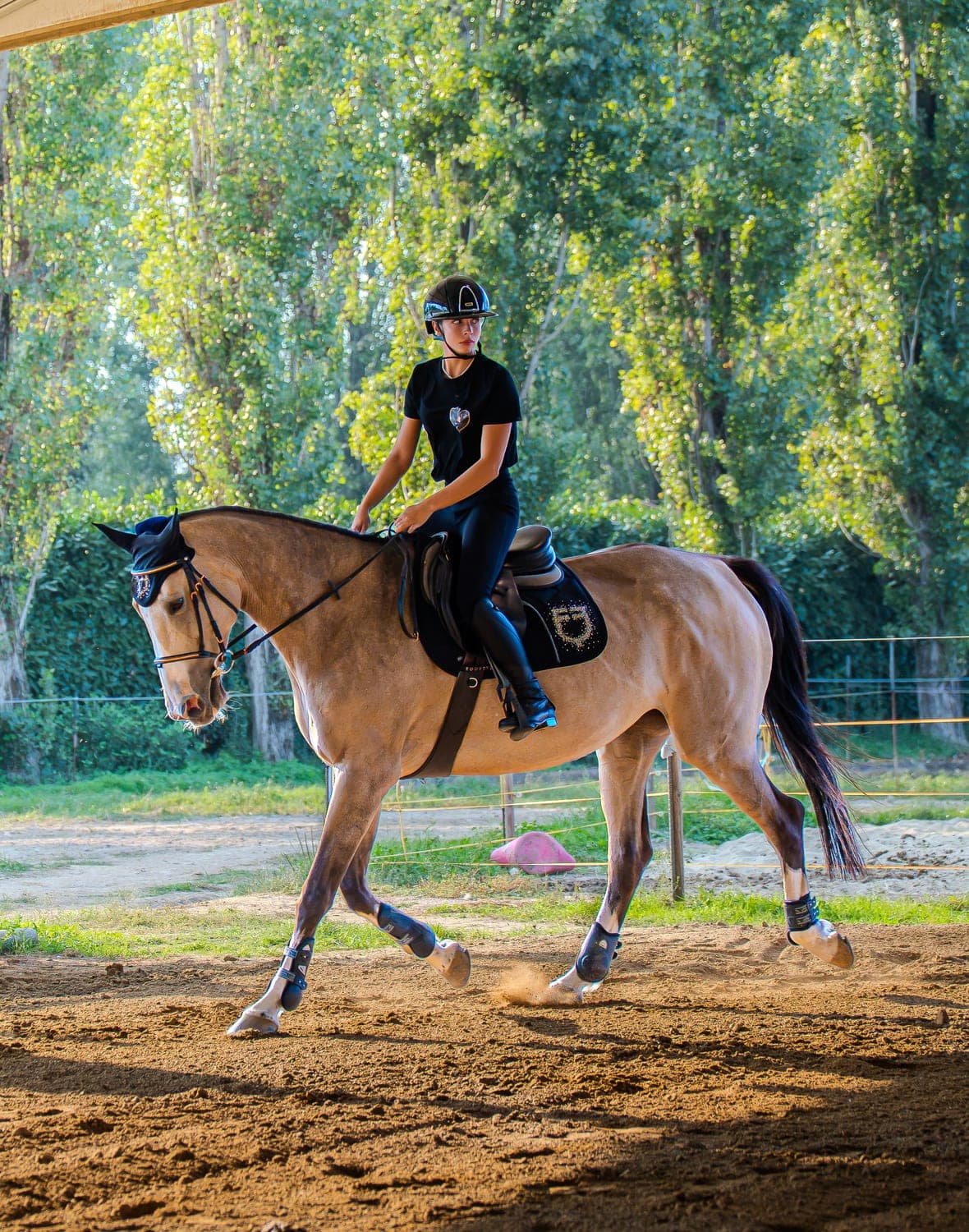 Cavaliera al trotto in campo, di profilo